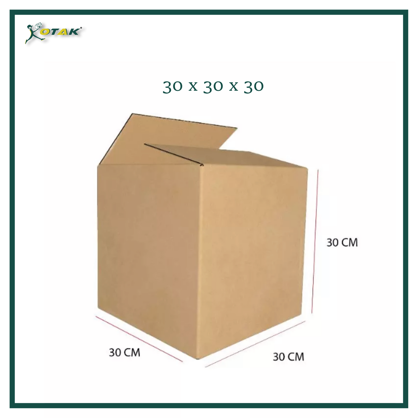 Plain Carton Box