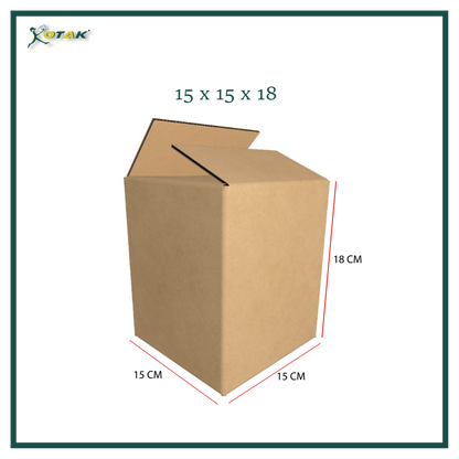 Plain Carton Box