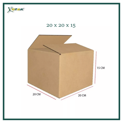 Plain Carton Box