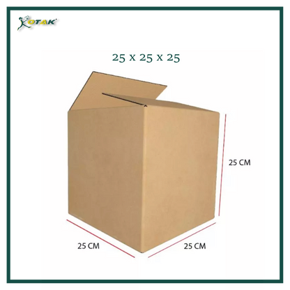 Plain Carton Box