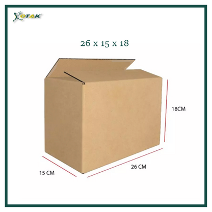Plain Carton Box