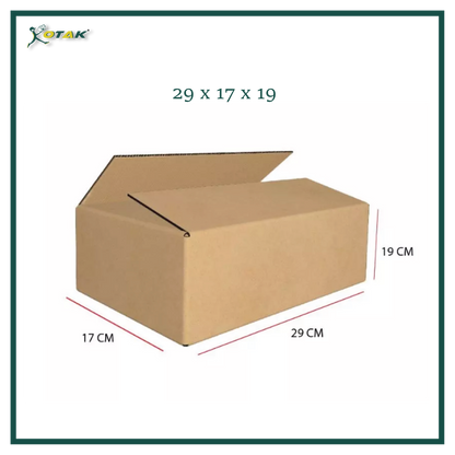 Plain Carton Box