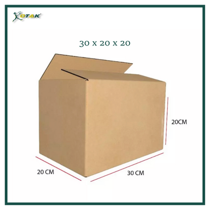 Plain Carton Box