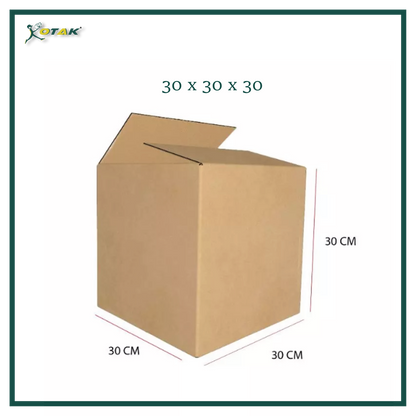 Plain Carton Box