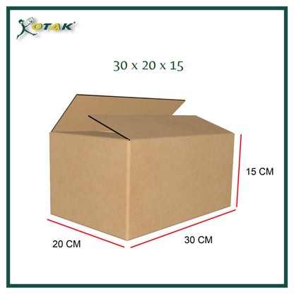 Plain Carton Box