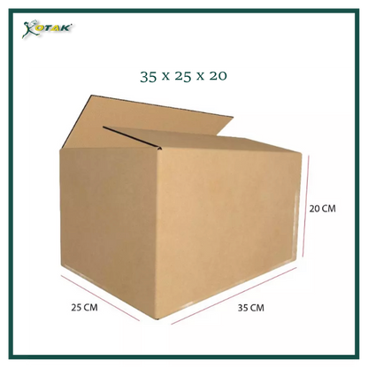 Plain Carton Box