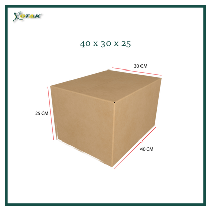 Plain Carton Box