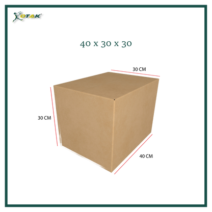 Plain Carton Box