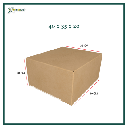 Plain Carton Box