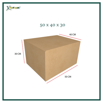 Plain Carton Box