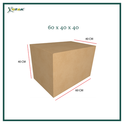 Plain Carton Box