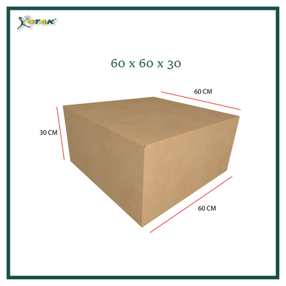 Plain Carton Box