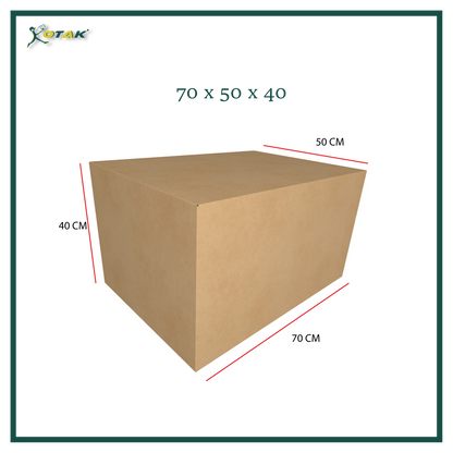 Plain Carton Box